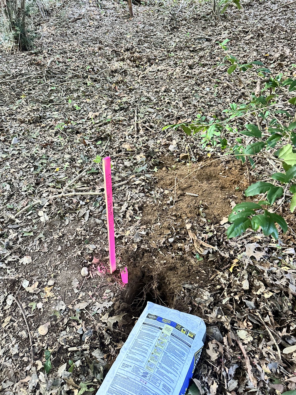 Survey stakes set on the graded lot for the new residence, October 2026