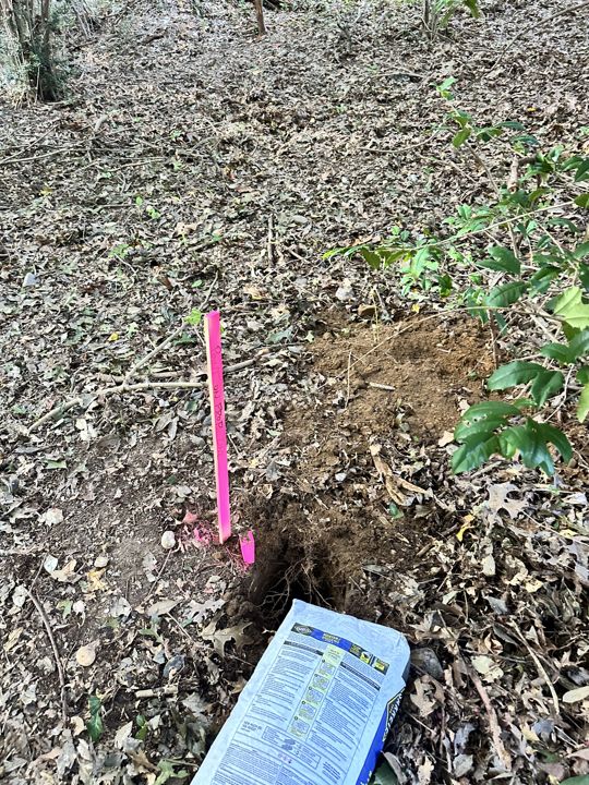 Survey stakes set for the new residence (October 2026).