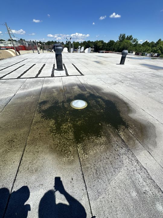 June 2026 inspection: standing water near a roof drain.